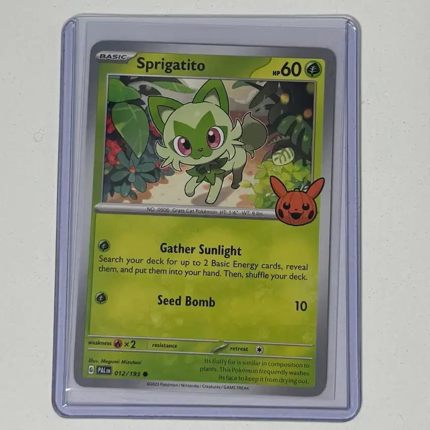 [BUNJANG] Pokemon Card 2024 Halloween Ghost &amp; More / 포켓몬카드 2024 할로윈 고우스트 등 여러마리