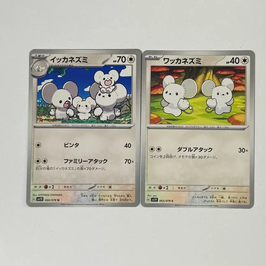 [BUNJANG] Pokemon Card "Family" Set (Japanese Version) / 포켓몬카드 파밀리쥐 (일판)