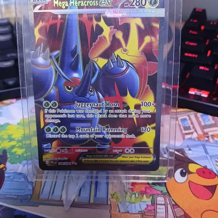 [BUNJANG] Pokémon Card Mega Heracross EX SR North American Version / 포켓몬카드 메가 헤라크로스 EX SR 북미판