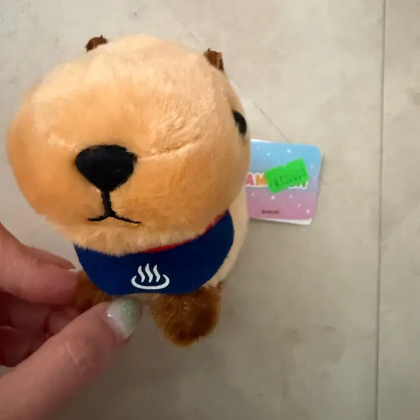 [BUNJANG] Capybara Plush Toy / 온천 카피바라 인형