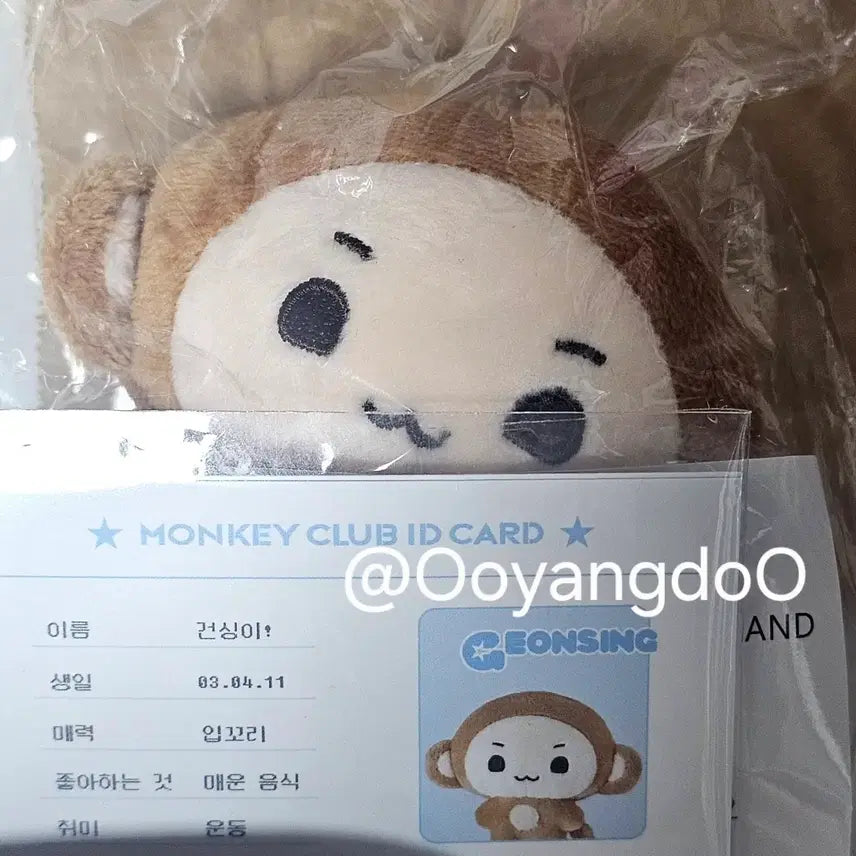 [BUNJANG] Alphadriveone ALD1 Kim Geonwoo Plush / 알파드라이브원 알디원 ALD1 김건우 건싱이 인형 양도