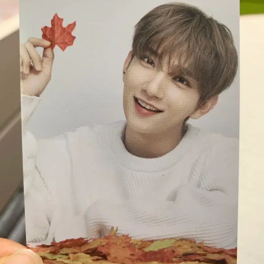 [BUNJANG] SEVENTEEN Joshua Ode to You in Japan Official Photocard / 2019 세븐틴 조슈아 월드 투어 &