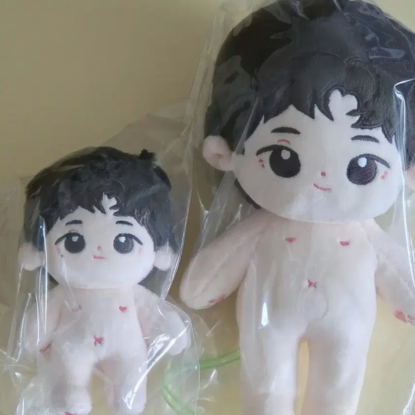 [BUNJANG] SEVENTEEN Wonwoo Doll (20cm + 10cm) / 세븐틴 원우 인형