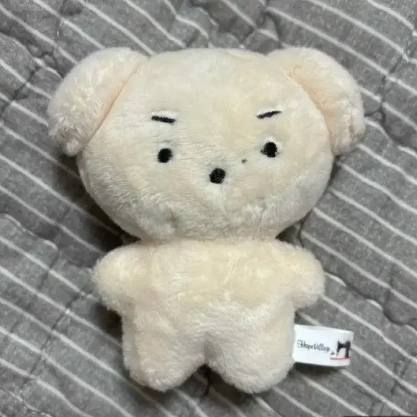 [BUNJANG] DAY6 Dowoon Dog Plush Toy / 택포) 윤돗개 인형 데이식스 도운 인형