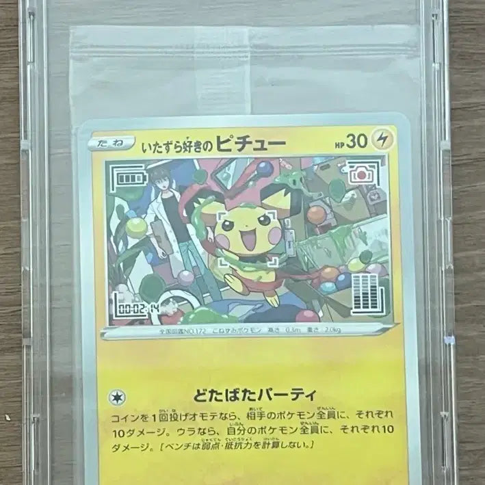 [BUNJANG] Pokemon Card Pichu Promo / 포켓몬카드 피츄 프로모