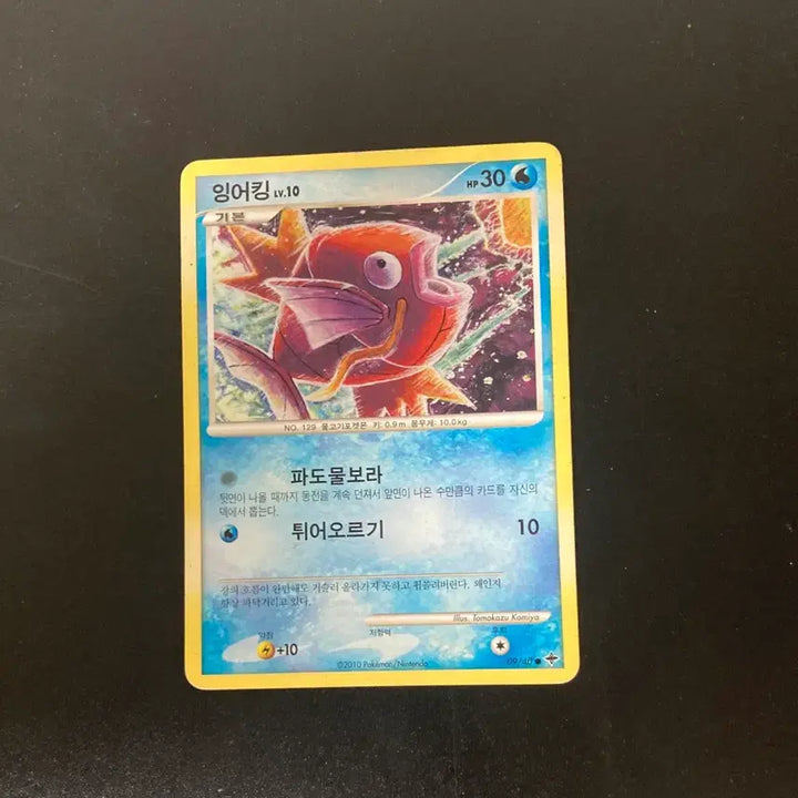 [BUNJANG] Pokemon Magikarp Card Bundle / 포켓몬 카드 잉어킹