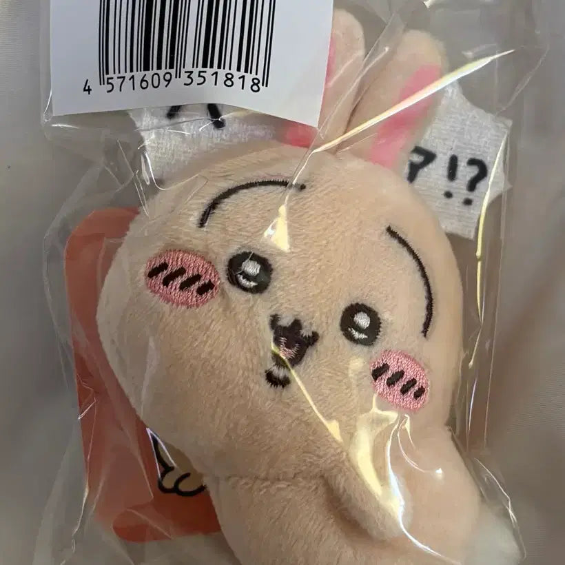 [BUNJANG] Chiikawa Usagi Nuisama Plush Badge / 치이카와 먼작귀 우사기 쿠지 E상 누이구루미 뱃지 하아?!