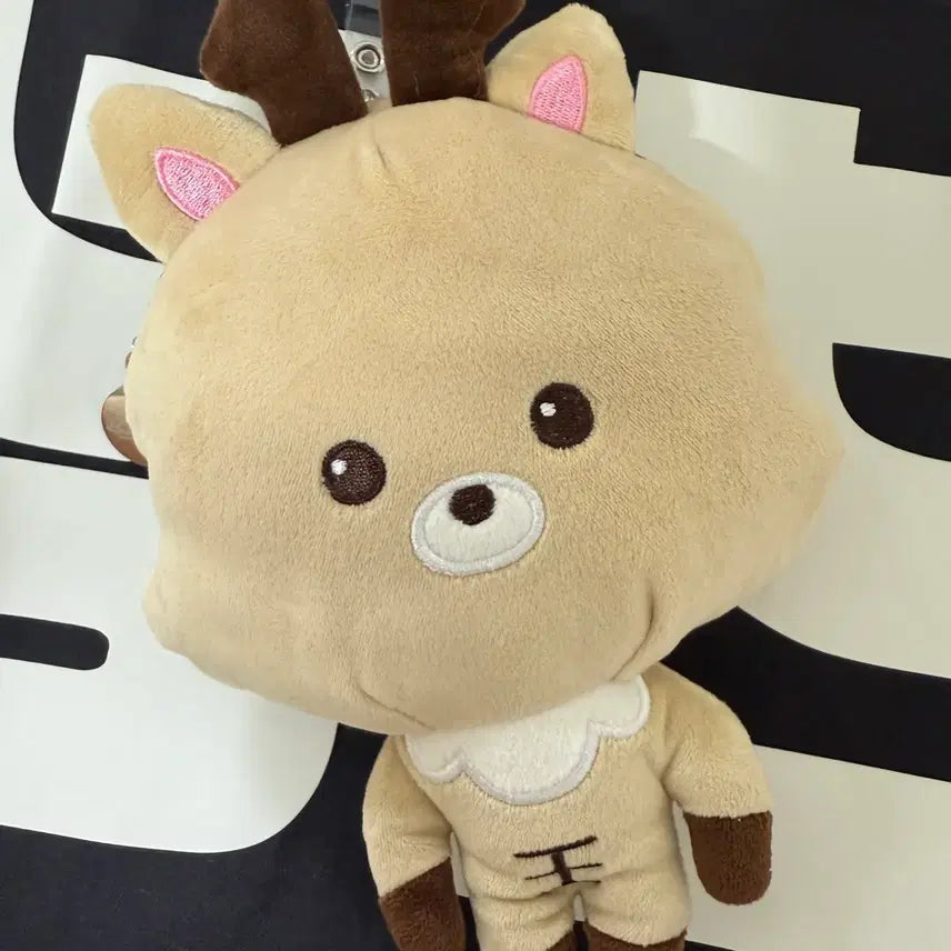 [BUNJANG] Shanghai BounsRise Urak Bam Coin Pouch / 상하이 보스라이즈 우락밤 동전지갑