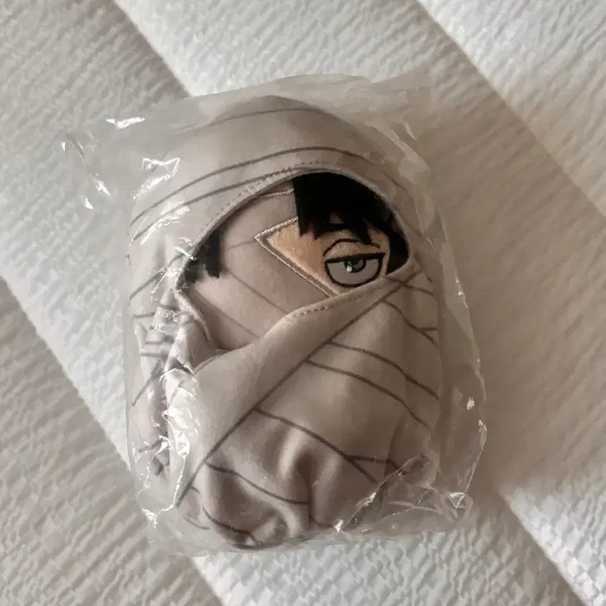 [BUNJANG] Attack on Titan Levi Bandage Corporal Nui Doll / 진격의거인 리바이 누에병장 도롱이병장 누이 인형