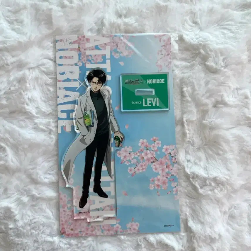 [BUNJANG] Attack on Titan Levi Ackerman Nobie&