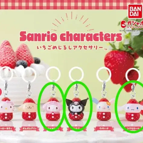 [BUNJANG] Sanrio Ichigo Mashimaro Gacha - Kuromi, Cinnamoroll / 산리오 딸기메지루시 가챠_쿠로미, 시나모롤 양도