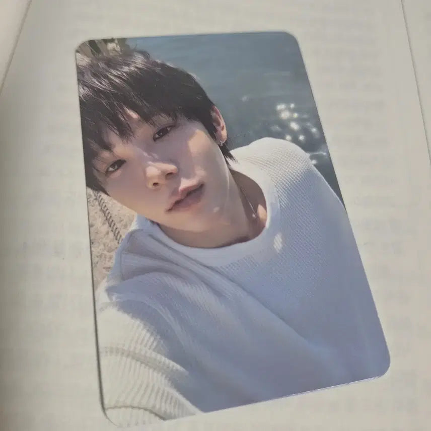 [BUNJANG] Shotaro Photocard / 쇼타로 포카
