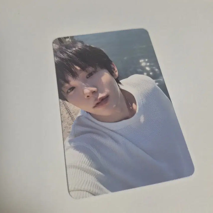 [BUNJANG] Shotaro Photocard / 쇼타로 포카