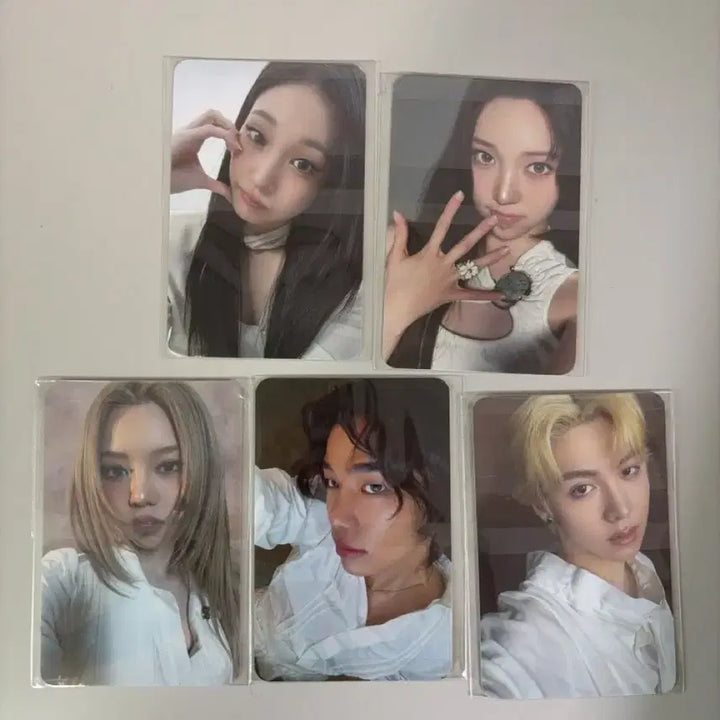 [BUNJANG] IVE ROCHE Photocard / 올데프 이브로쉐 포카
