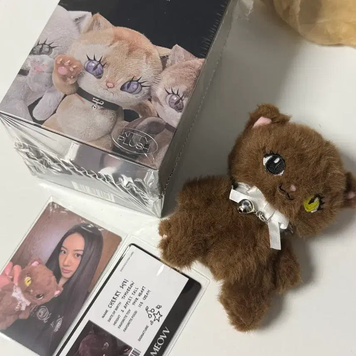 [BUNJANG] Miyau Kitty Plush Keychain / 미야오 키티 플러쉬 가원 키링 앨범 풀구성 kitty plush
