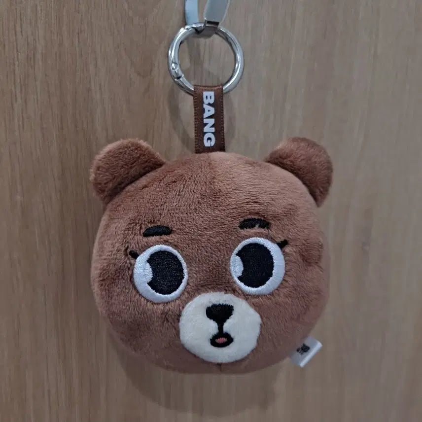 [BUNJANG] Day6 Japan Round Face Bag Charm Wonpil / 데이식스 일본 라운드 페이스 백참 방 원가 이하