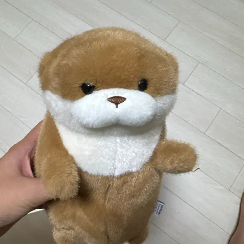 [BUNJANG] Otter Plush Doll / 인형