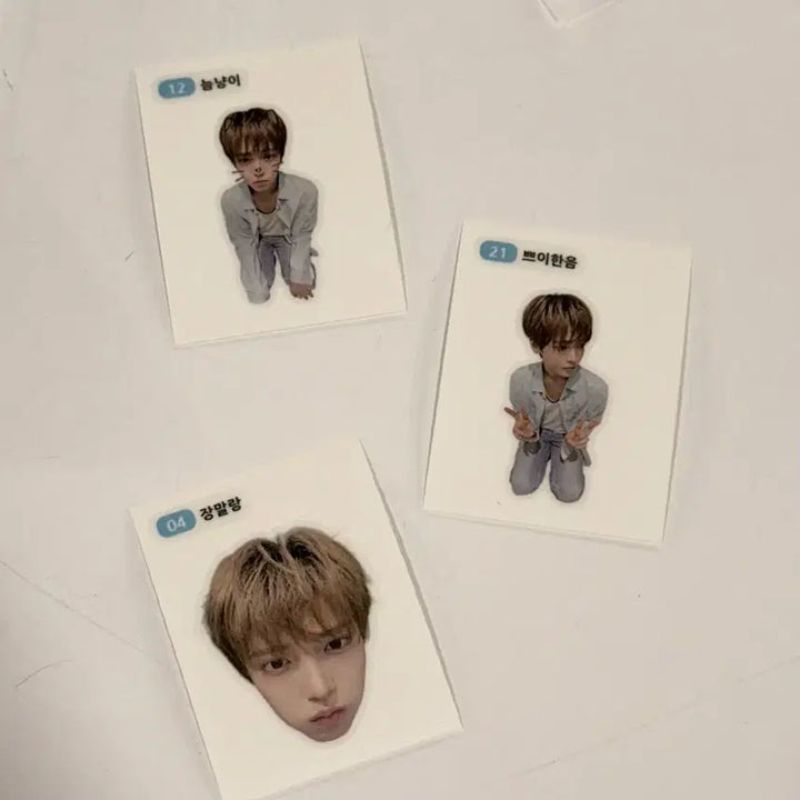 [BUNJANG] Zhang Hanum Fan Meeting Lucky Draw Photocard Set + Sticker / 장한음 팬미팅 럭키드로우 포카세트 + 띠부띠부씰