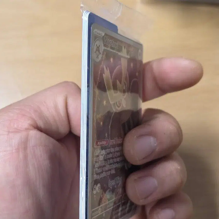 [BUNJANG] Pokemon Noctowl North American Promo Card Sealed / (포켓몬) 야부엉 북미 프로모카드 미개봉