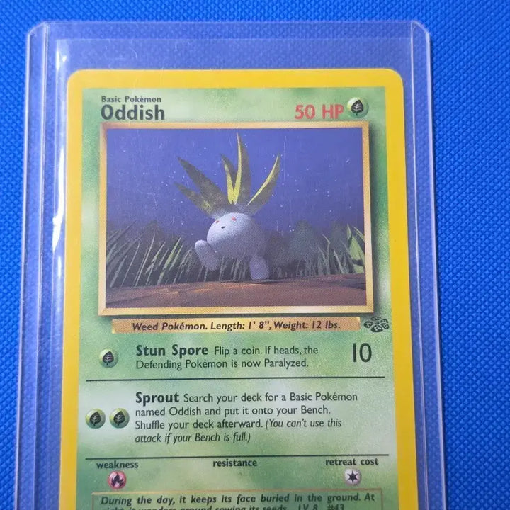 [BUNJANG] Pokemon Staryu Vintage Card / (포켓몬) 뚜벅초 빈티지카드