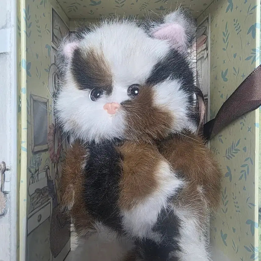 [BUNJANG] Teddy Tails Tricolor Cat S / 테디테일즈 삼색냥 S