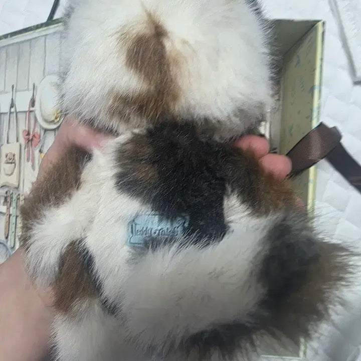 [BUNJANG] Teddy Tails Tricolor Cat S / 테디테일즈 삼색냥 S