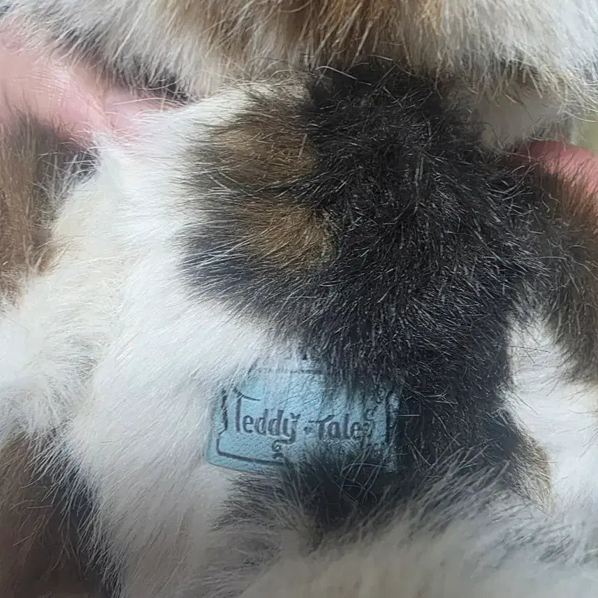 [BUNJANG] Teddy Tails Tricolor Cat S / 테디테일즈 삼색냥 S