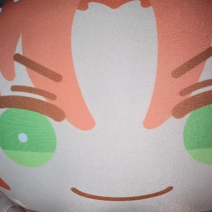 [BUNJANG] Tsukinaga Leo Big Plush / 츠키나가 레오 빅망