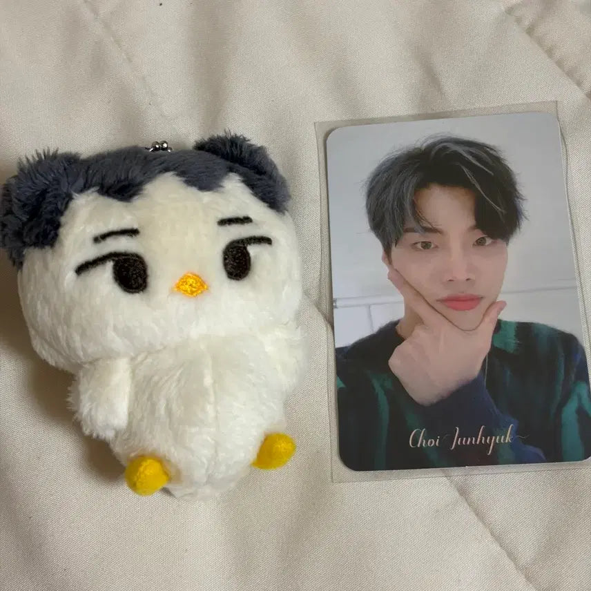 [BUNJANG] Choi Junhyeok Polaroid Photocard + Jjoonaari Doll / 최준혁 폴라 포카 + 인형 쭌아리