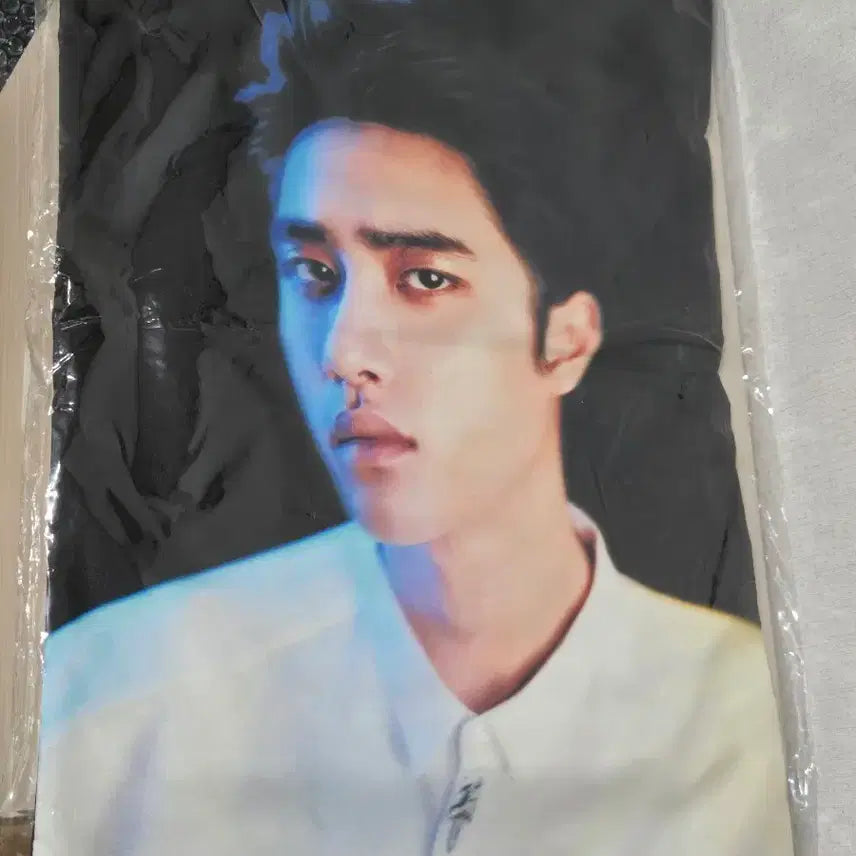 [BUNJANG] EXO D.O. Do Kyungsoo Poison Version Cushion Cover / 엑소 디오 도경수 쿠션 커버