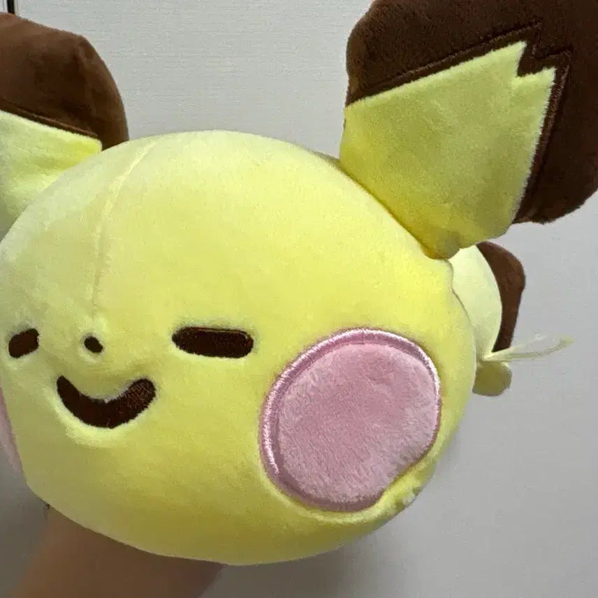 [BUNJANG] Pokemon Kanahei Pikachu Plush / 포켓몬스터 카나헤이 피츄 인형