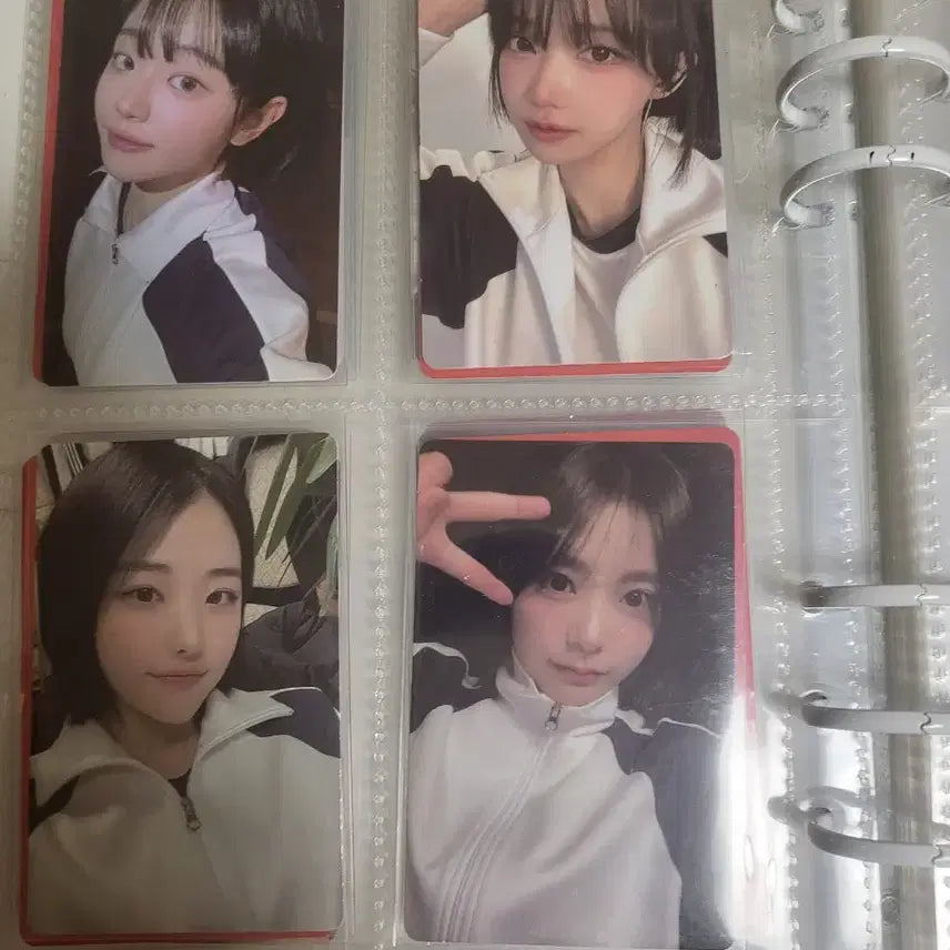 [BUNJANG] QWER Album Photocard Set / QWER 앨범 포토카드