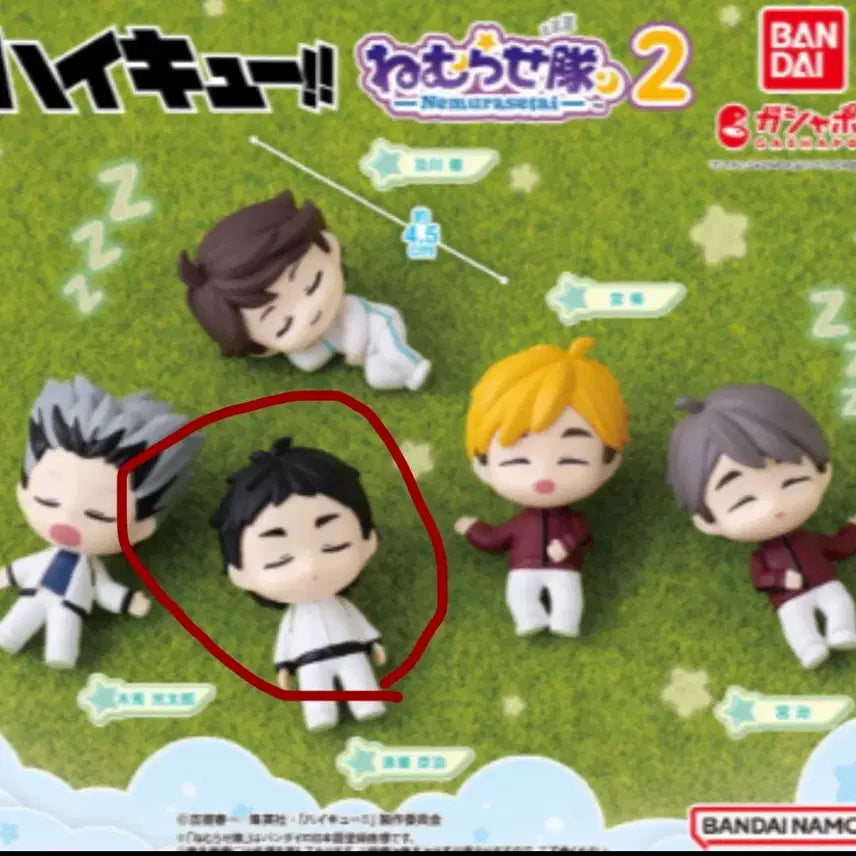 [BUNJANG] Haikyuu!! Akaashi Nemurasetai Sealed Figure / 하이큐 아카아시 네무라세타이 미개봉