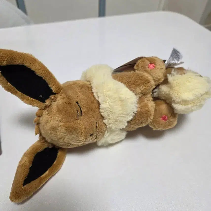 [BUNJANG] Pokemon Center Eevee Nap Plush / 낮잠 이브이 인형