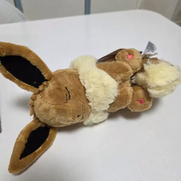 [BUNJANG] Pokemon Center Eevee Nap Plush / 낮잠 이브이 인형