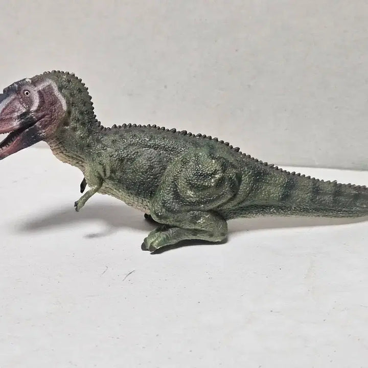 [BUNJANG] Collecta Daspletosaurus Dinosaur Figure Toy 2013 Edition / 컬렉타 다스플레토사우루스 공룡 피규어 장난감 완구 13년판