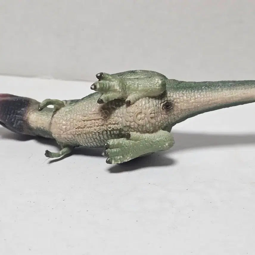 [BUNJANG] Collecta Daspletosaurus Dinosaur Figure Toy 2013 Edition / 컬렉타 다스플레토사우루스 공룡 피규어 장난감 완구 13년판