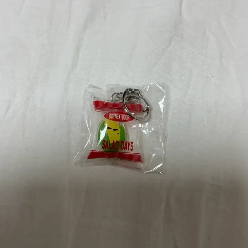 [BUNJANG] BOYNEXTDOOR RIWOO Signature Keychain Salad Days Edition / 희귀) 보넥도 리우 시그 키링
