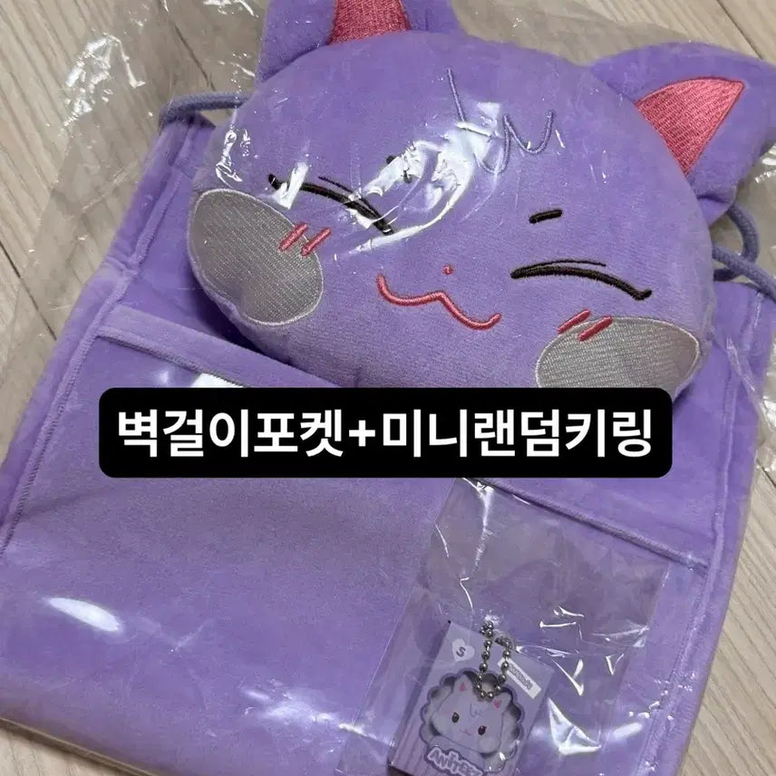 [BUNJANG] ATEEZ ANITEEZ in DajaVu Pop-up Wall Storage Pocket / Mini Random Keyring Choi San / 원가양도) 에이티즈 ANITEEZ in DajaVu 팝업 벽걸이수납포켓/미니랜덤키링 산덕이 최산