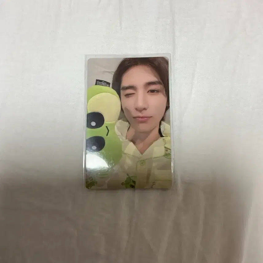 [BUNJANG] YIHAN Weverse Lucky Draw Photocard / 이한 할액 위버스 럭드 포카 쁘넥도