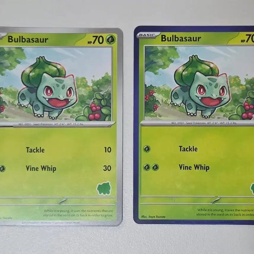 [BUNJANG] Pokemon Card North America My First Battle Bulbasaur Blue Border / 포켓몬카드 북미판 이상해씨 my first battle blue border