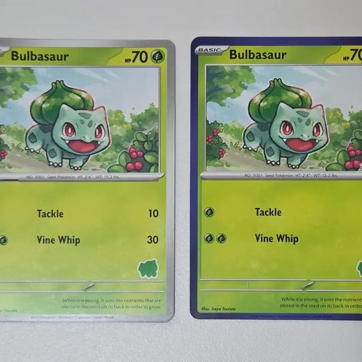 [BUNJANG] Pokemon Card North America My First Battle Bulbasaur Blue Border / 포켓몬카드 북미판 이상해씨 my first battle blue border