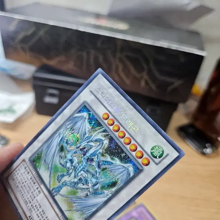 [BUNJANG] Stardust Dragon Diagonal Chic / 스타더스트드래곤 사선시크