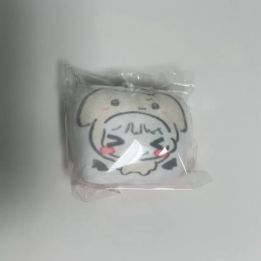 [BUNJANG] BOYNEXTDOOR Myung Jaehyun Unofficial Goods Doll / 보이넥스트도어 명재현 비공굿 인형