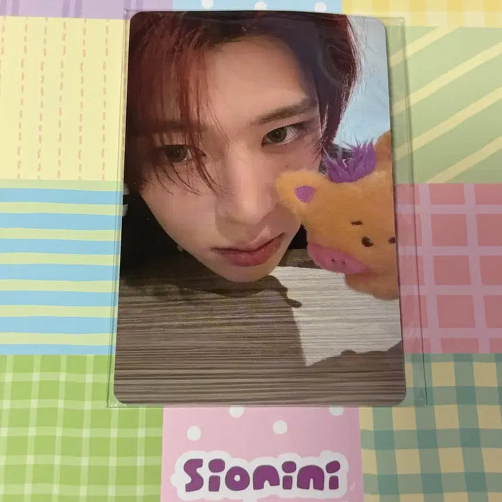 [BUNJANG] NCT WISH Sichen Photocard / 엔시티위시 위시니니 시오니니 플러시 키링 시온 포카