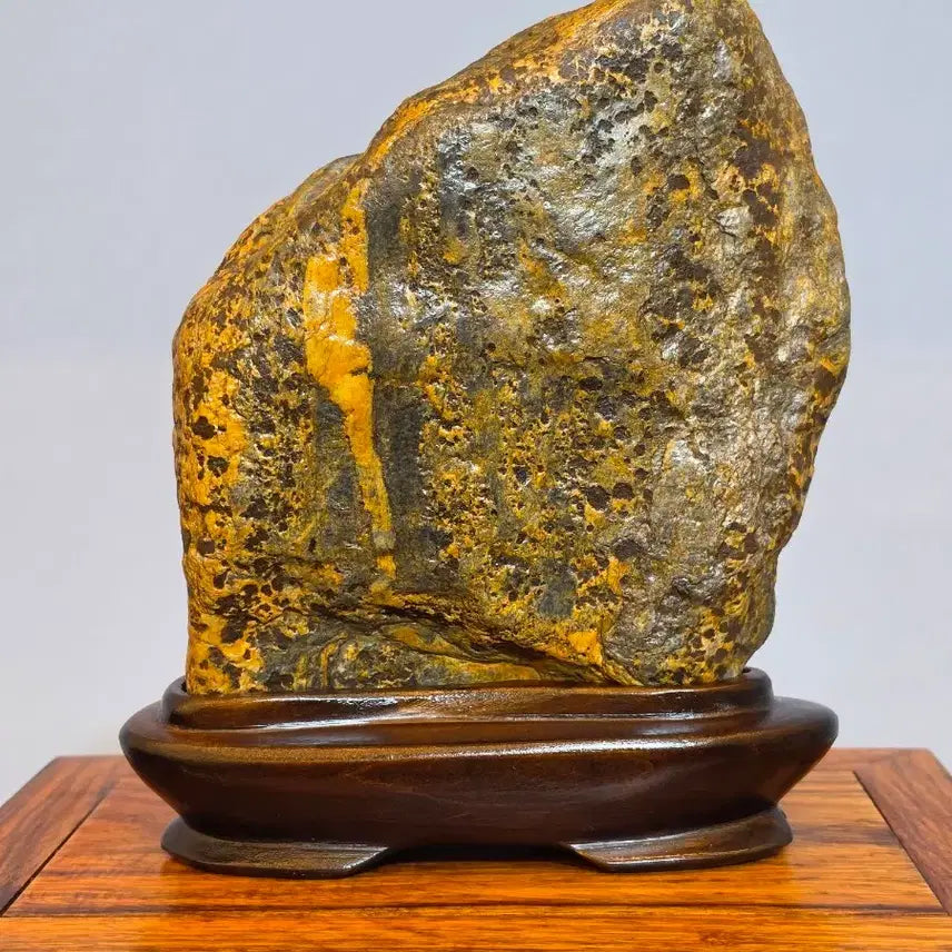 [BUNJANG] Sunchang Leopard-Skin Stone Display Stone / 26082308 석질과 변화가 멋진 순창호피석 수석 팝니다