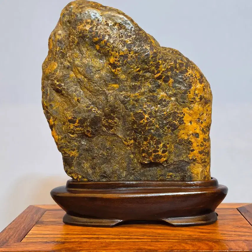 [BUNJANG] Sunchang Leopard-Skin Stone Display Stone / 26082308 석질과 변화가 멋진 순창호피석 수석 팝니다