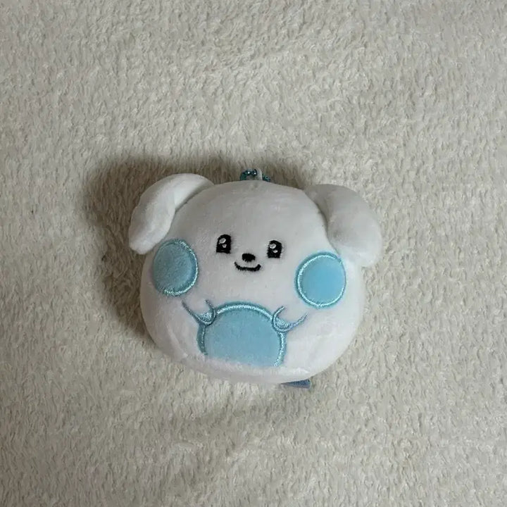 [BUNJANG] Fluffy Face Gguguni Plush Doll / 제로니 플러피 얼굴 규니니
