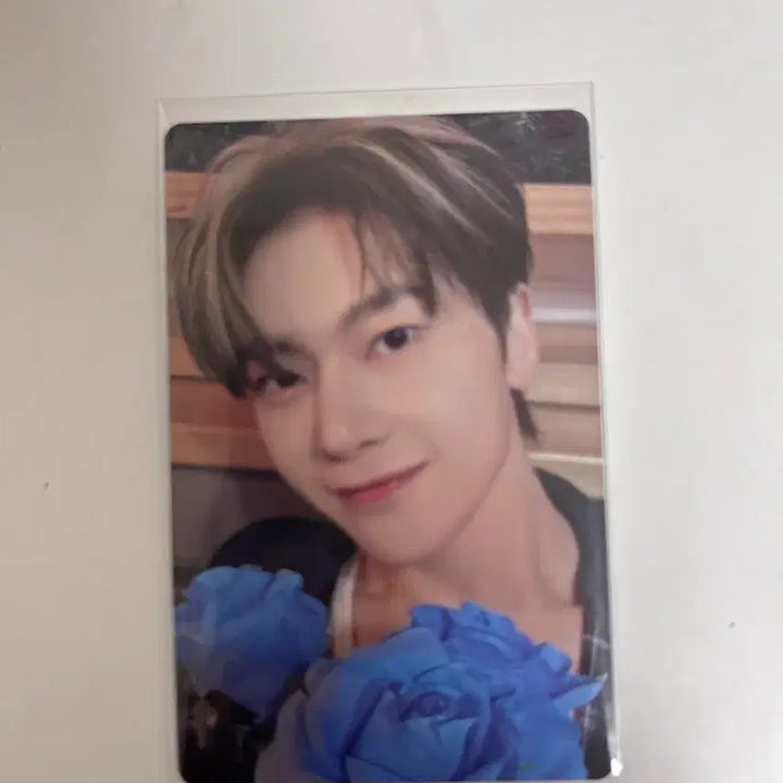 [BUNJANG] Matthew Cake Photocard / 매튜  케이크 포카