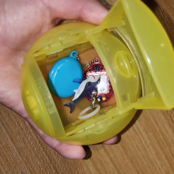 [BUNJANG] Clear Gacha Capsule Storage Case / 가챠 보관함 가챠